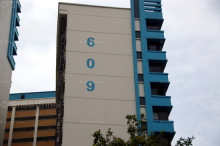 Blk 609 Bukit Panjang Ring Road (Bukit Panjang), HDB 4 Rooms #217452